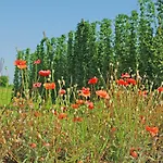 Krone - Garni 3*