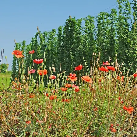 Krone - Hotel Garni 3*