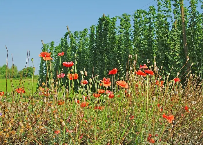 Krone - Garni 3*